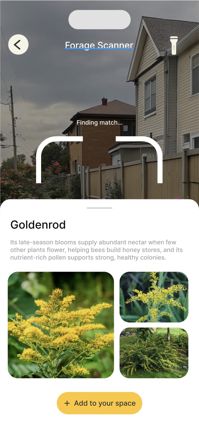AR scan results and tips