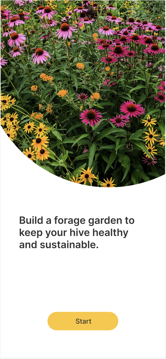 Flow onboarding with Buzzy