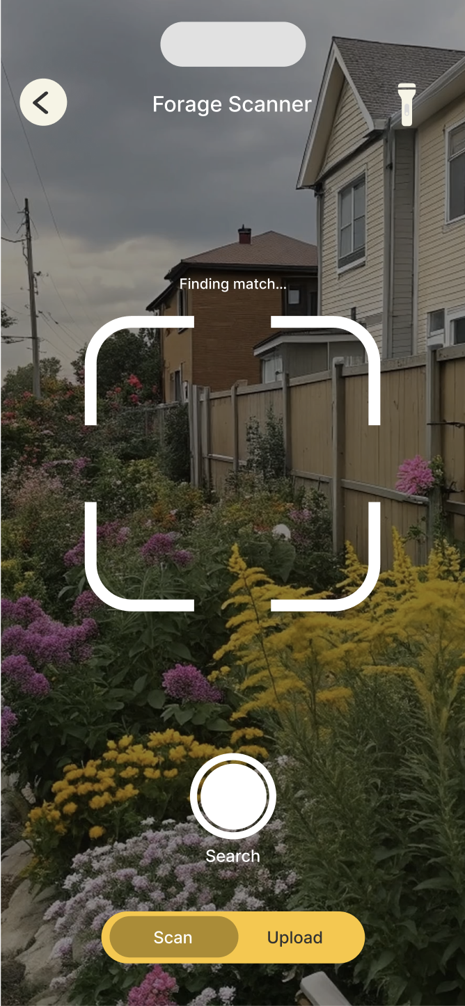 Plant AR scanner view