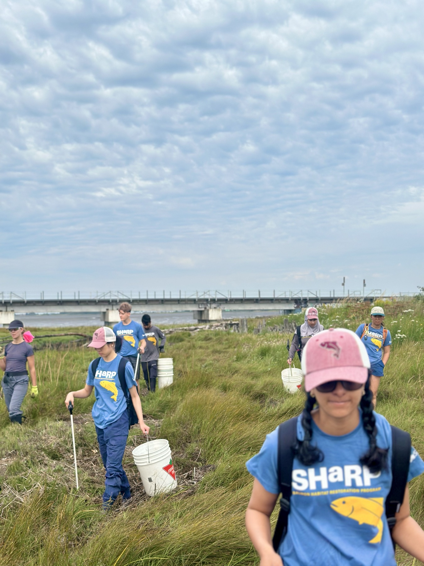 SHaRP crew carrying field sampling equipment through a wetland