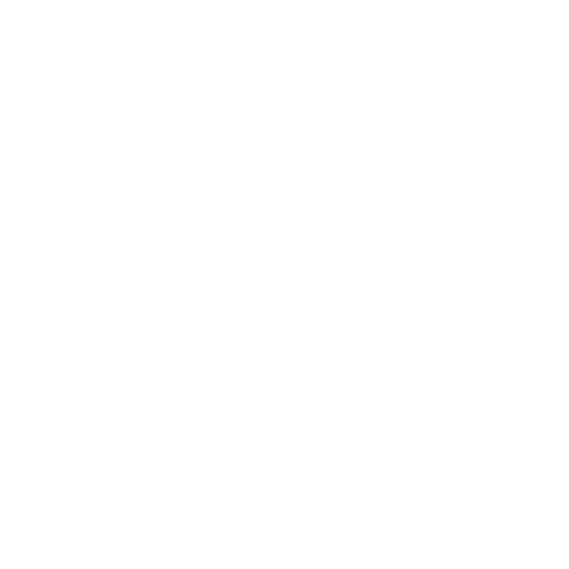 Next Icon